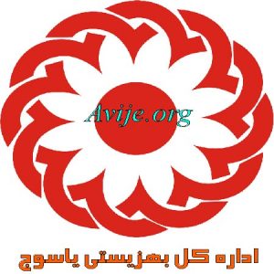 امریه بهزیستی یاسوج